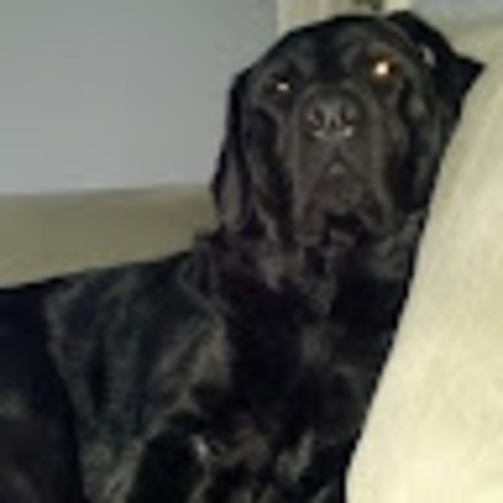 Meet your Posher, Alison